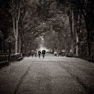 Poet's Path